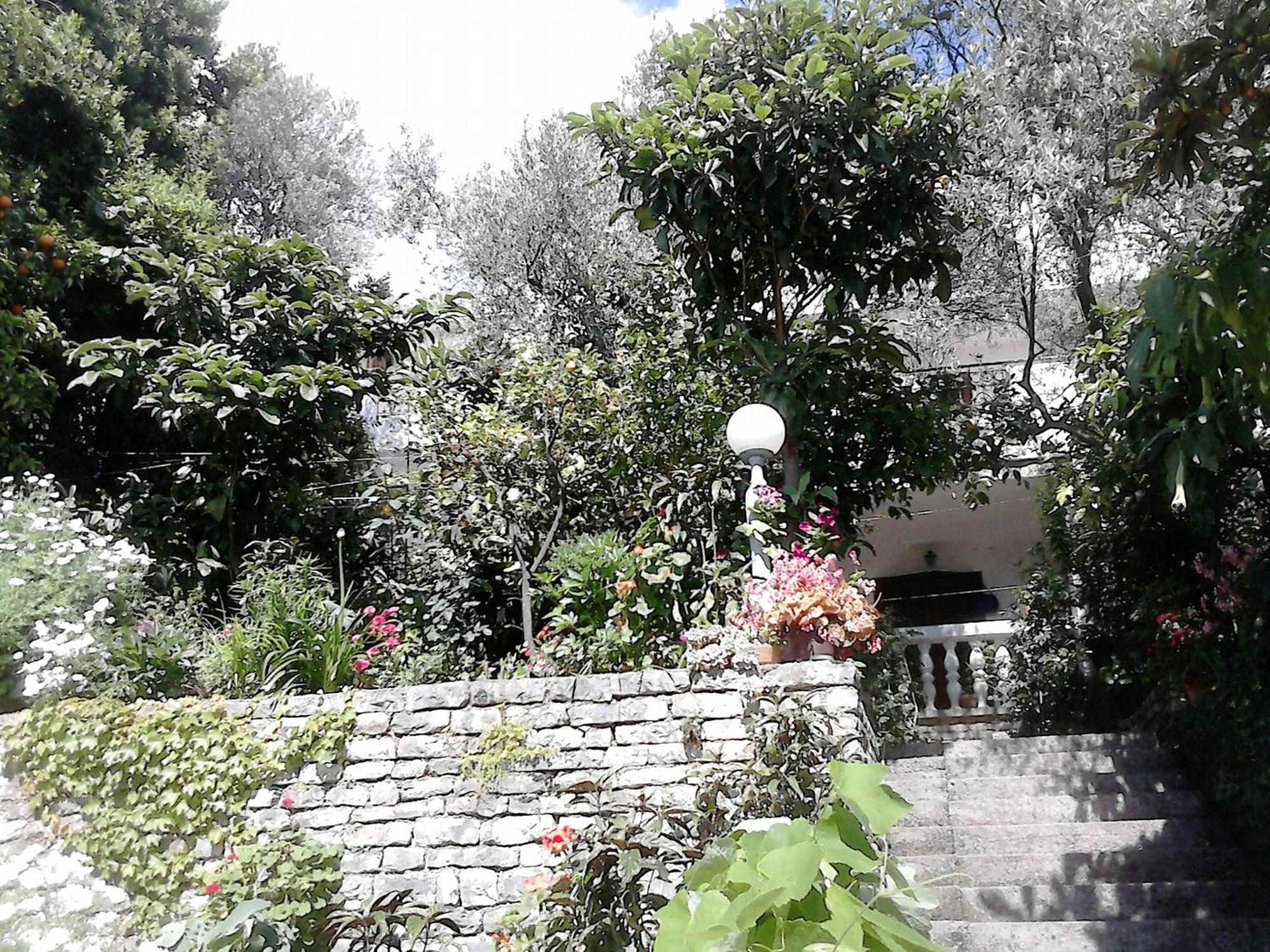 Oaza Guest House Sveti Stefan Dış mekan fotoğraf
