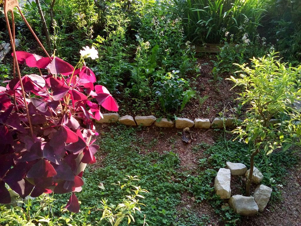 Oaza Guest House Sveti Stefan Dış mekan fotoğraf