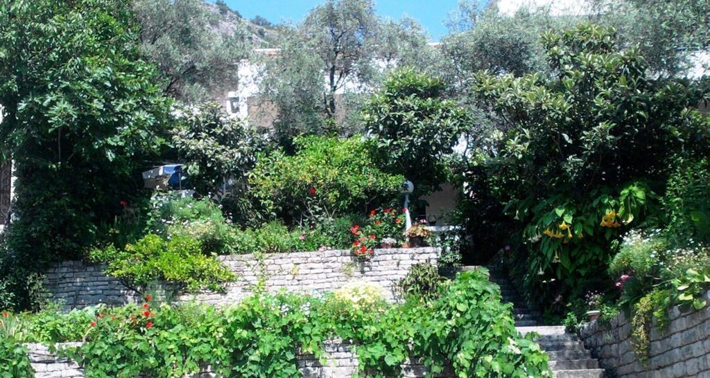 Oaza Guest House Sveti Stefan Dış mekan fotoğraf