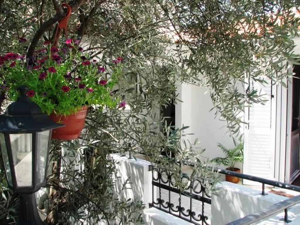 Oaza Guest House Sveti Stefan Dış mekan fotoğraf